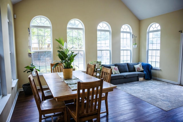 4725 Park Ridge Ct, Evans, GA 30809 - dining area featuring wood finished floors, baseboards, and lofted ceiling