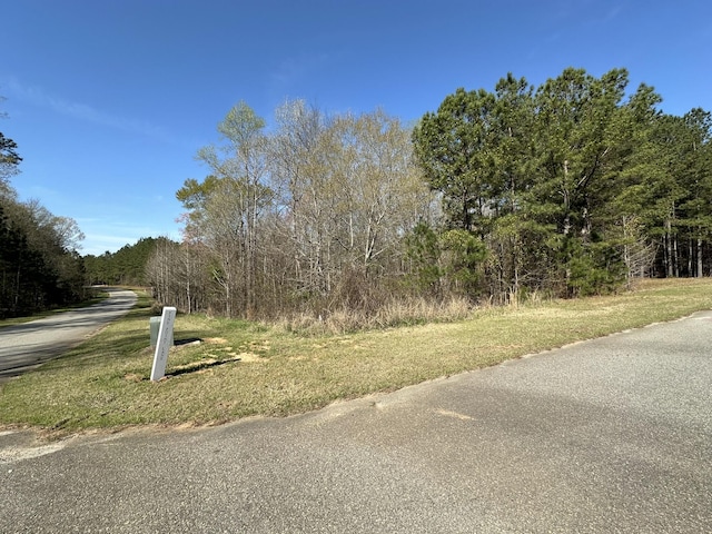 1048 Pine Ln, Tignall GA, 30668 land for sale