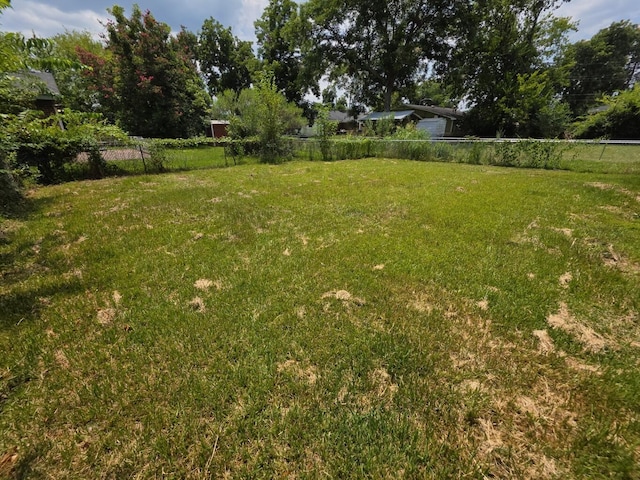 406 E Espinosa St, Augusta, GA 30901 - view of yard