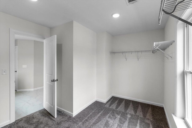 250 Prominence Dr, Grovetown, GA 30813 - spacious closet featuring carpet flooring