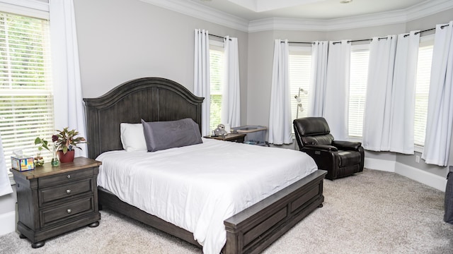 902 Adderley Ln, Evans, GA 30809 - bedroom with light colored carpet, crown molding, and baseboards