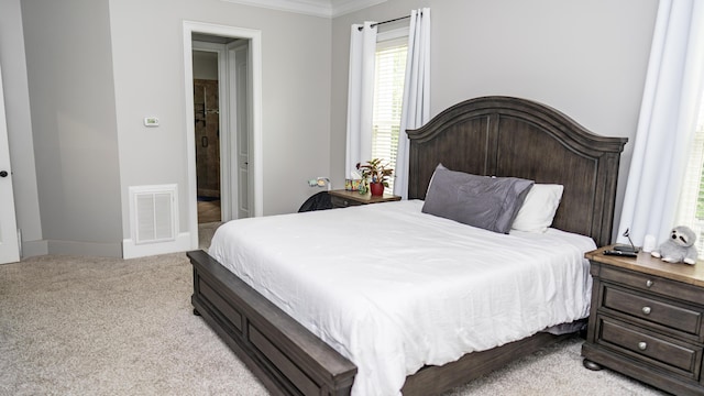 902 Adderley Ln, Evans, GA 30809 - bedroom featuring crown molding, carpet, and multiple windows