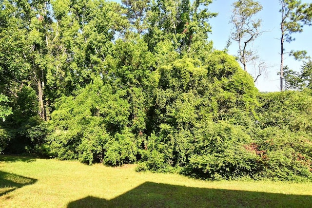 2627 Corning St, Hephzibah, GA 30815 - photo 32