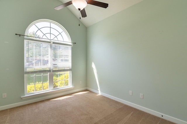 138 Claridge St, North Augusta, SC 29860 - photo 19