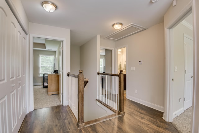 hallway with dark wood-type flooring