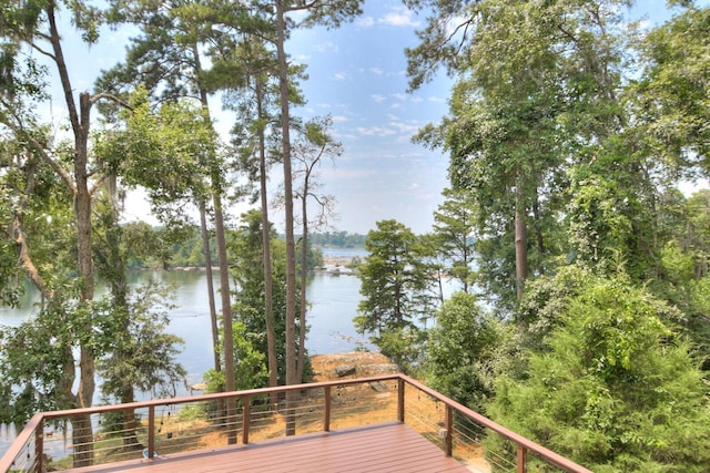 355 Osprey Pt, North Augusta, SC 29841 - photo 47