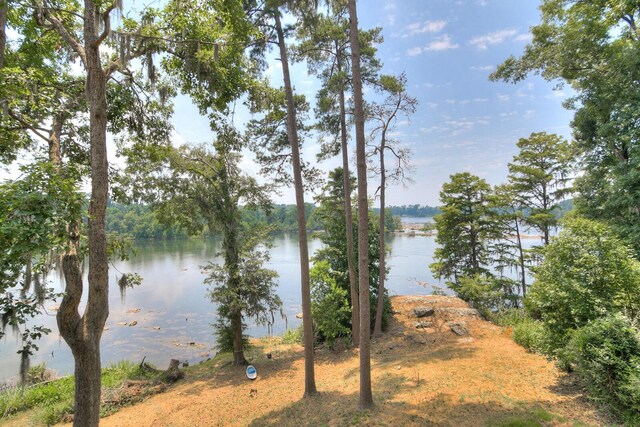 355 Osprey Pt, North Augusta, SC 29841 - photo 51
