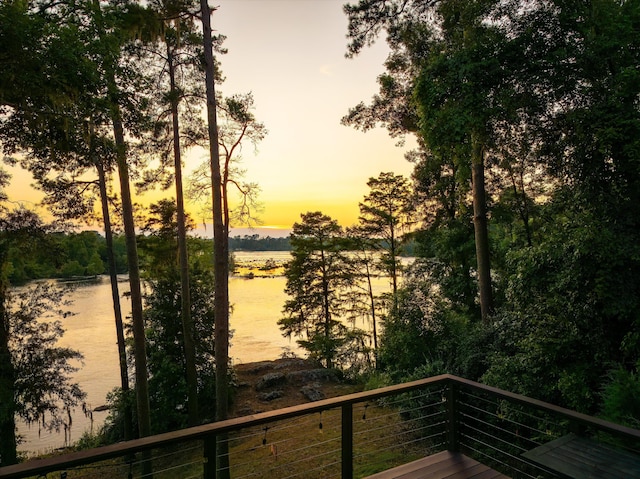355 Osprey Pt, North Augusta, SC 29841 - photo 55