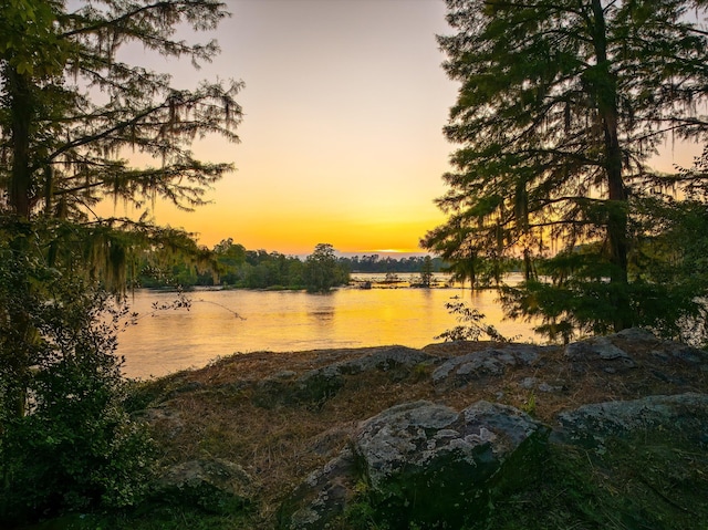 355 Osprey Pt, North Augusta, SC 29841 - photo 56