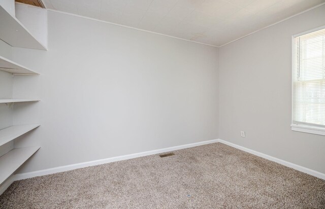 unfurnished room with carpet floors