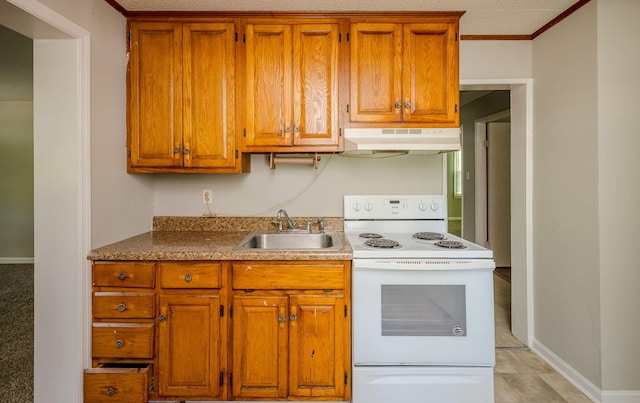 kitchen featuring crown molding, electric stove, and sink