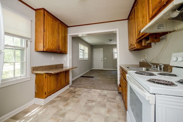 kitchen with light colored carpet, a wealth of natural light, ornamental molding, and electric stove