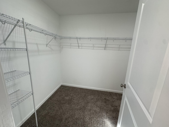 walk in closet with carpet