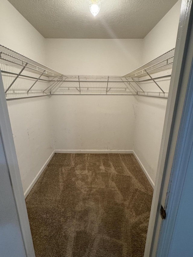 spacious closet with dark colored carpet