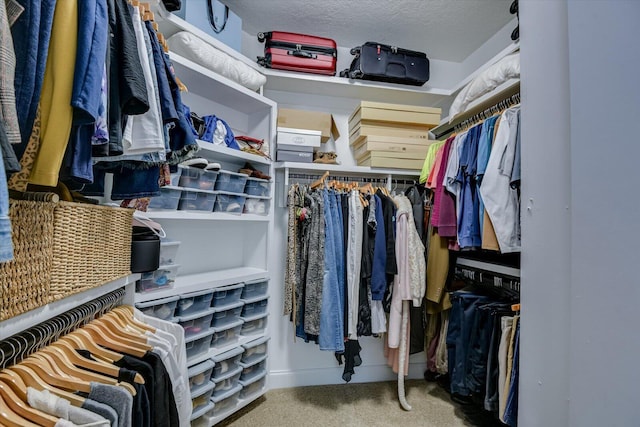 walk in closet with carpet floors