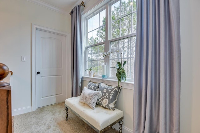 living area with crown molding, baseboards, and carpet floors