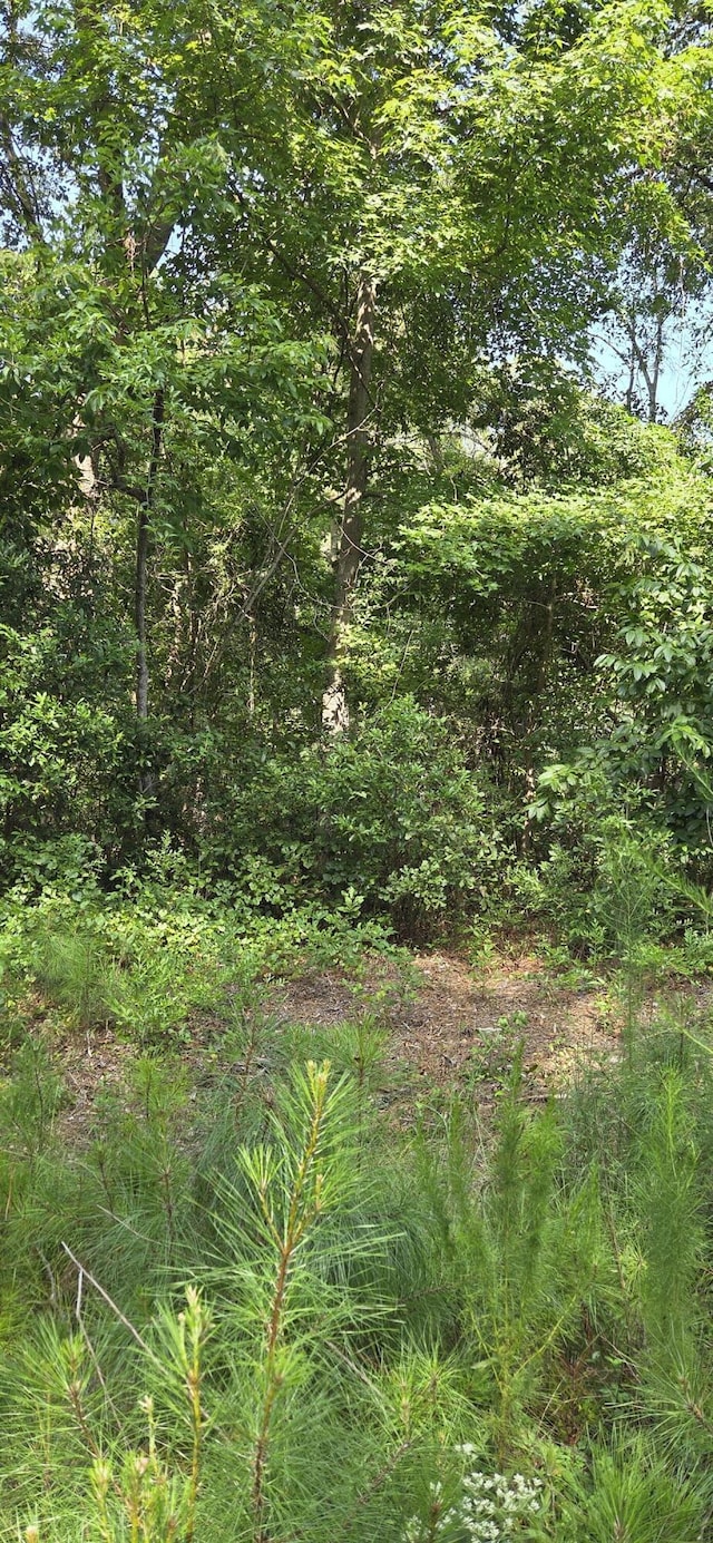 0 Cherokee Dr, North Augusta, SC 29841 - photo 1