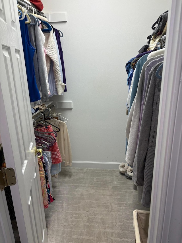 405 Sawgrass Cv, Mccormick, SC 29835 - walk in closet with carpet flooring
