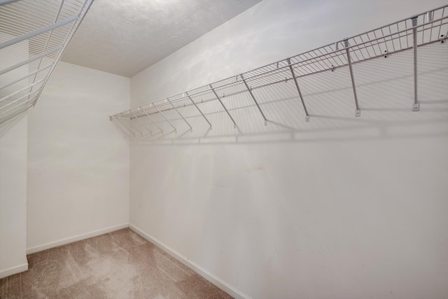 3008 Rice St, Augusta, GA 30909 - photo 21