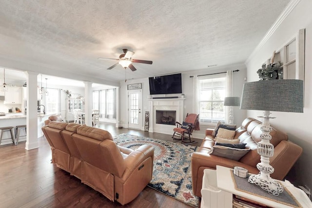 320 Bridle Path Rd, North Augusta, SC 29860 - photo 8