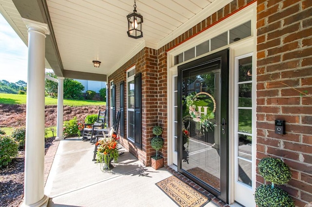 320 Bridle Path Rd, North Augusta, SC 29860 - photo 29