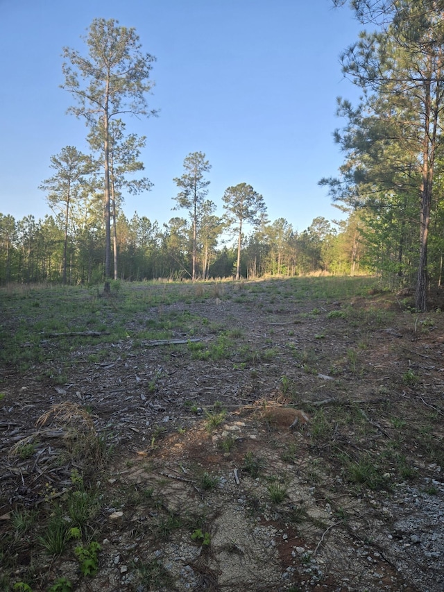 0 Sweetgum Ln, Lincolnton, GA 30817 - photo 1
