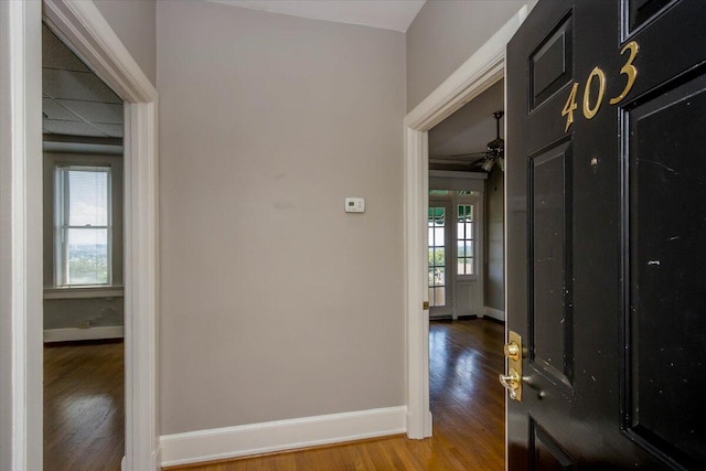 2068 Walton Way, Augusta, GA 30909 - entrance foyer with wood finished floors and a ceiling fan