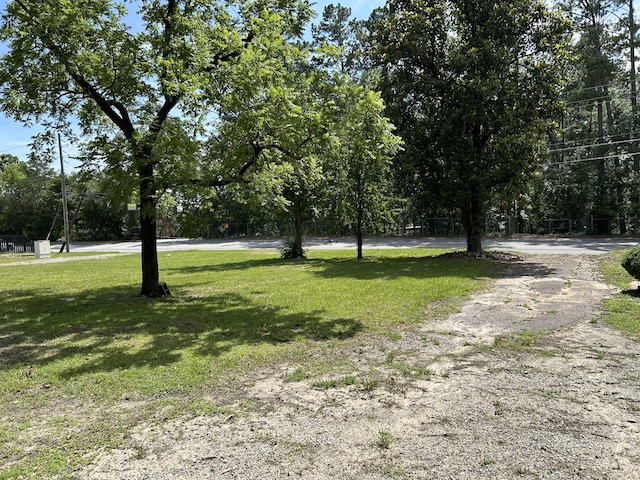 3007 Meadowbrook Dr, Augusta, GA 30906 - view of grassy yard with view of wooded area