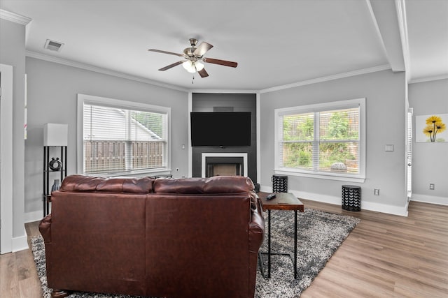 268 Anneswood Rd, Martinez, GA 30907 - living room featuring ceiling fan, ornamental molding, a fireplace, wood finished floors, and baseboards