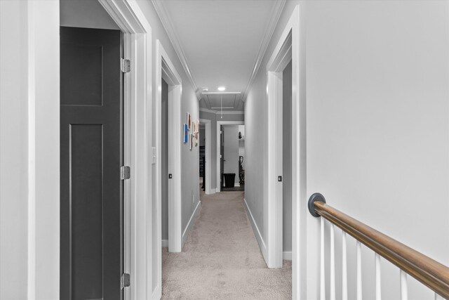 268 Anneswood Rd, Martinez, GA 30907 - hallway with attic access, light colored carpet, baseboards, ornamental molding, and recessed lighting