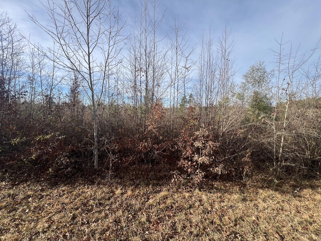 LOT5 Hephzibah Church Rd, Lincolnton, GA 30817 - photo 1