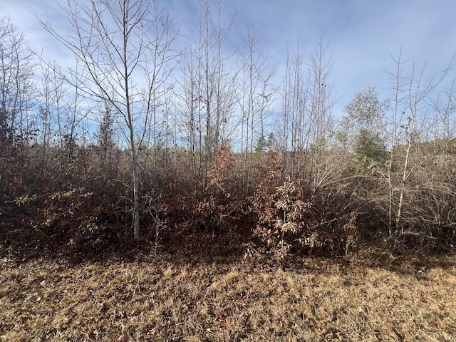 LOT5 Hephzibah Church Rd, Lincolnton, GA 30817 - photo 1
