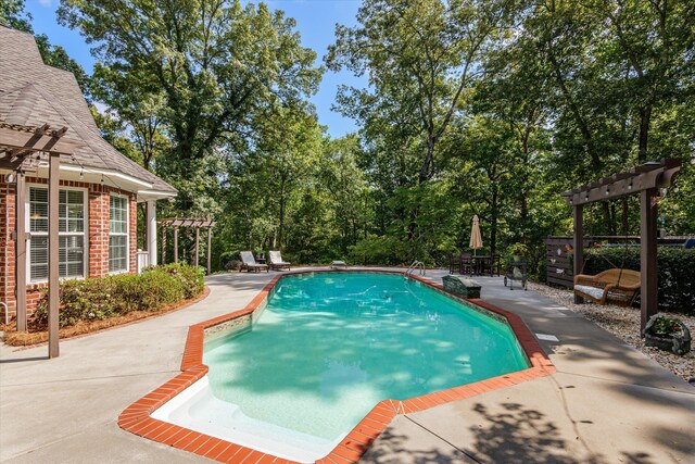 view of swimming pool featuring a pergola and a patio