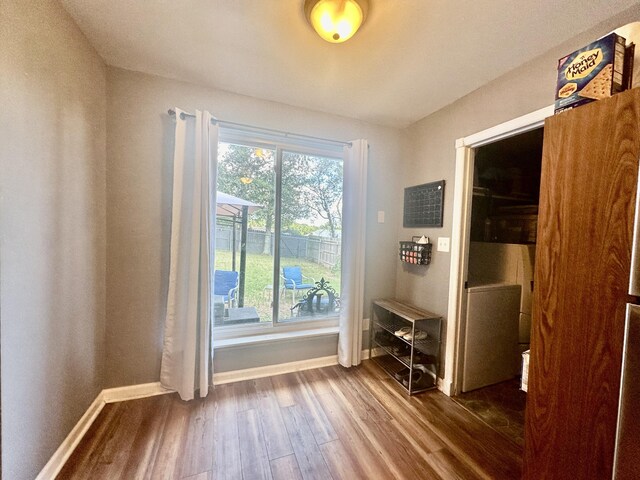 entryway with dark hardwood / wood-style floors and a wealth of natural light