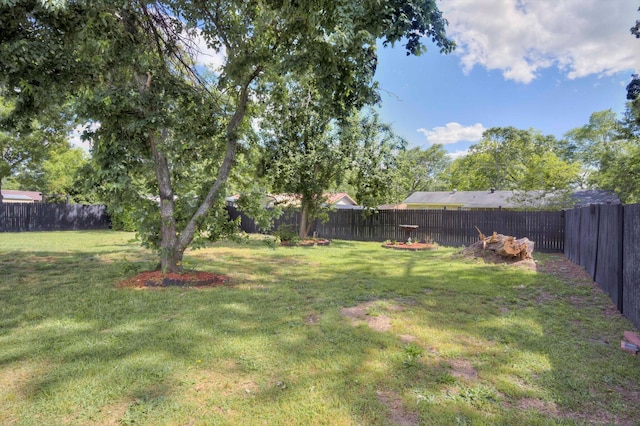 431 Edgar Cir, Thomson, GA 30824 - view of yard