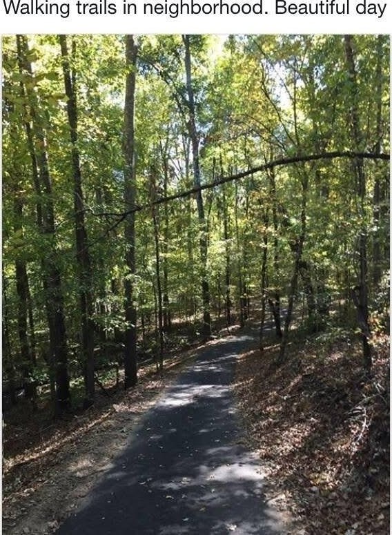 view of road featuring a forest view