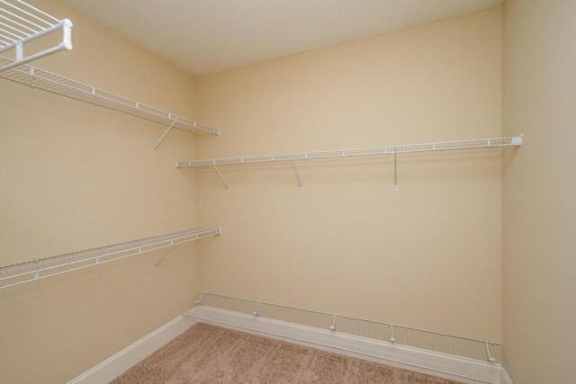 spacious closet with carpet