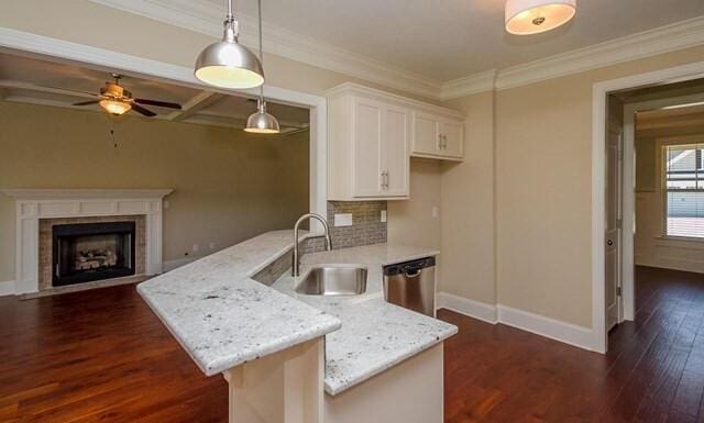 kitchen featuring a sink, white cabinets, stainless steel dishwasher, baseboards, and dark wood-type flooring