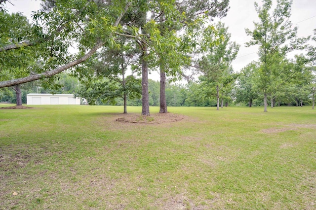188 Marks Walden Rd, Blythe, GA 30805 - view of grassy yard