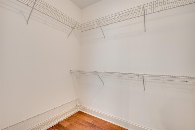 514 Hardwick Ct, Evans, GA 30809 - walk in closet featuring light wood-style flooring