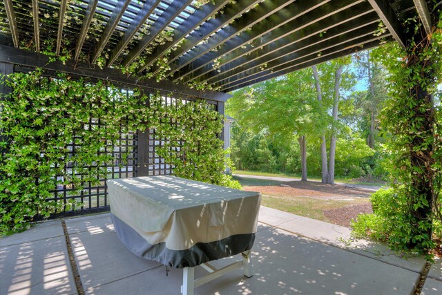 220 Pinckney Pl, Aiken, SC 29803 - photo 38