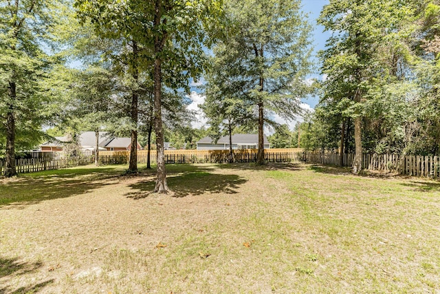 1601 E Tavelle Ln, Beech Island, SC 29842 - photo 36