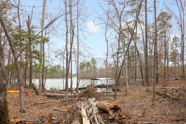 water view with a dock