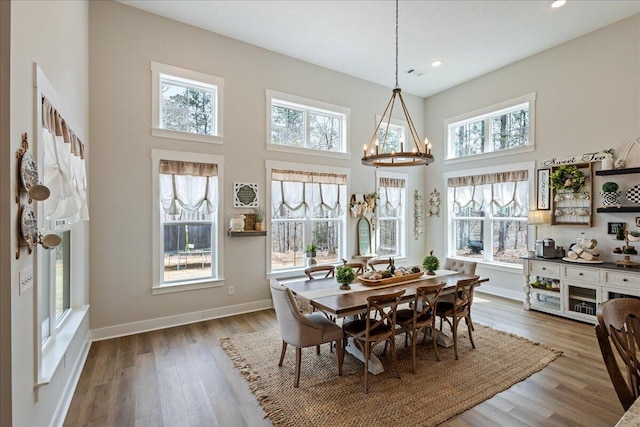 dining room featuring baseboards, a high ceiling, wood finished floors, and a healthy amount of sunlight