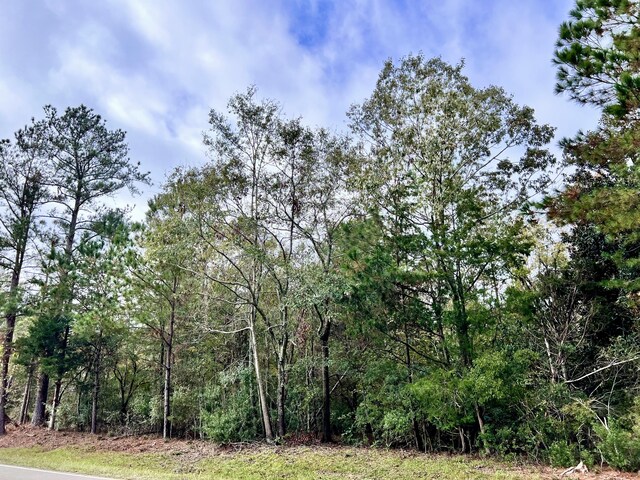 LOTB Ridge Road, Appling, GA 30802