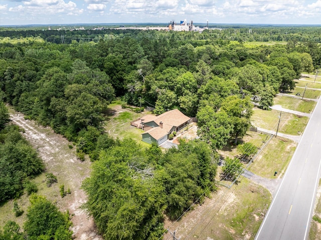1299 Brown Rd, Hephzibah, GA 30815 - photo 38