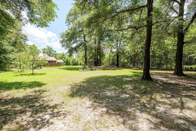 1299 Brown Rd, Hephzibah, GA 30815 - photo 33
