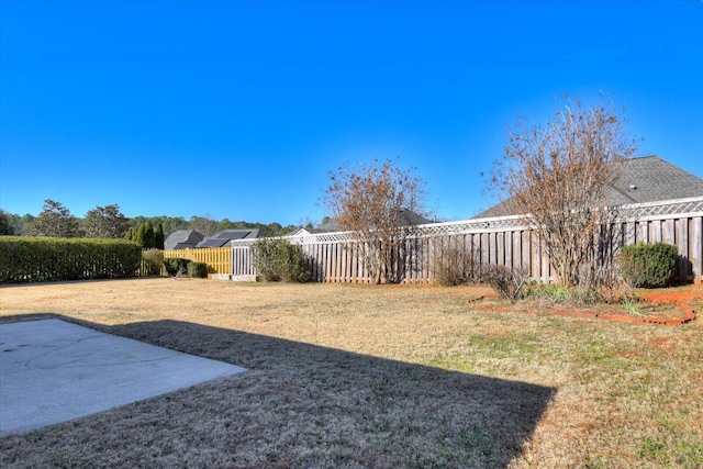 view of yard featuring a patio area