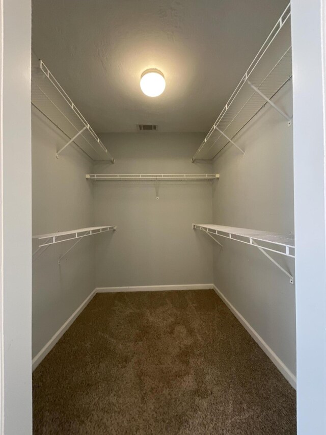 1129 Waltons Trl, Hephzibah, GA 30815 - spacious closet featuring carpet