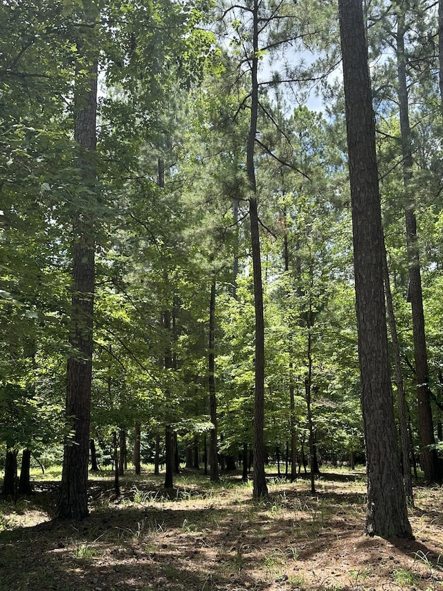 B15L6 Colleen Pl, Mccormick, SC 29835